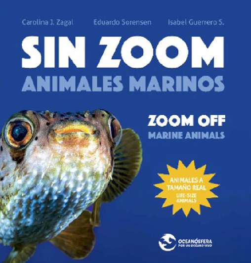 Carolina Zagal - Eduardo Sorensen - Isabel Guerrero | Sin zoom. Animales marinos